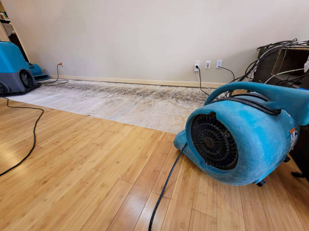 Professional Water Extraction technician working in Roseland, OH